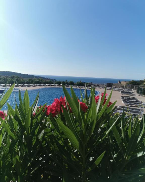 Les Issambres Apartment | Appartement en rez-de-jardin avec vue mer et piscine