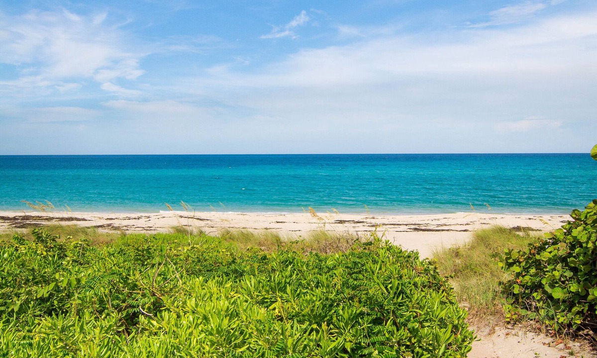 Juno Beach House | Hidden Gem. Steps to Beach. Long & Short Term. Pet friendly.