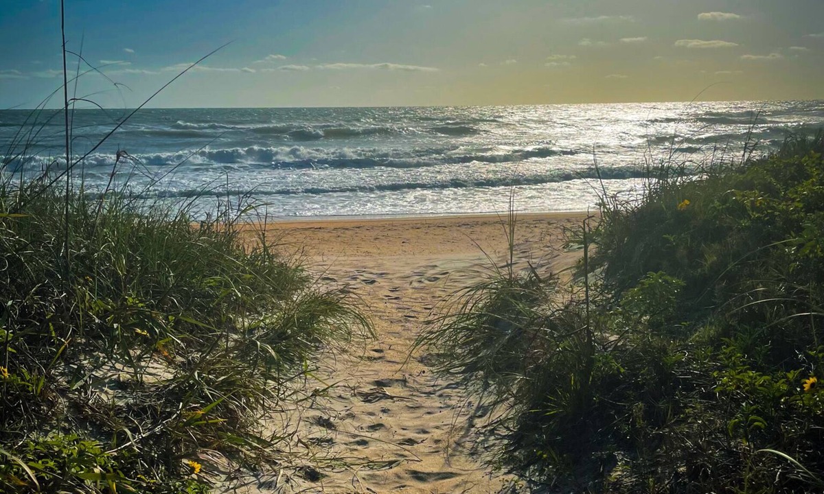 Silk Oaks House | Quaint Ormond By the Sea House - short walk to Beach