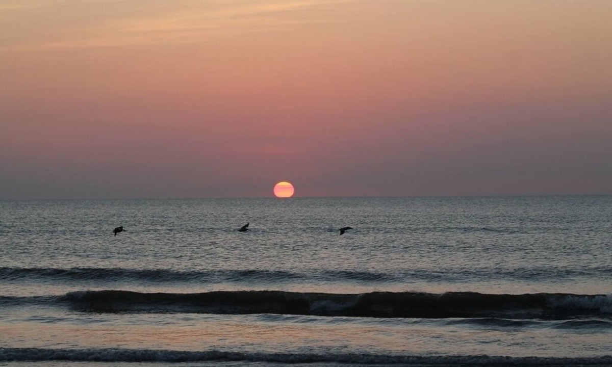 Ormond-by-the-Sea Condo | Stunning Ocean & Pool View 2/2 Ormond Beach Florida #204