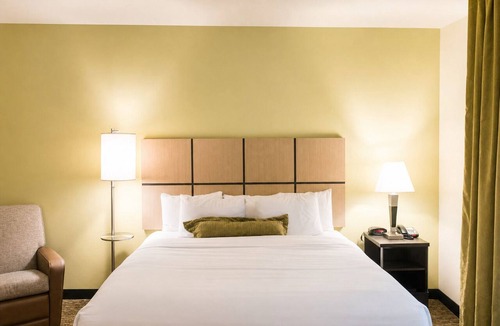 Denham Springs Hotel | 2 Modern Studios w/Free Breakfast & Wi-Fi Near LSU, Zoo & Downtown Baton Rouge