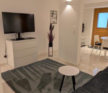 Dietikon District Apartment | 78qm 2 Schlafzimmer Nähe Zürich, familienfreundlich
