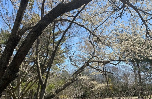 East Hampton North House | Adorable Amagansett Cottage, Walk to Town or Beach