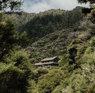 Coromandel Bed & Breakfast | Buffalo Lodge
