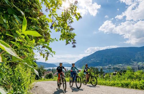 Landskron Apartment | Burgblick Villach Haus FUX-immo, 10min zum Skifahren, 10 min zum See, rundherum Wandern und Radeln