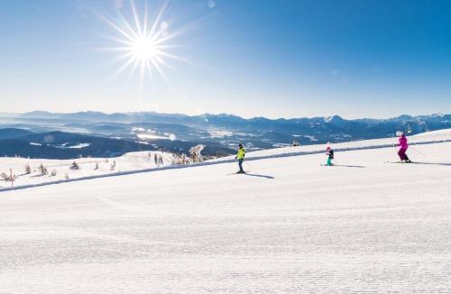 Landskron Apartment | Burgblick Villach Haus FUX-immo, 10min zum Skifahren, 10 min zum See, rundherum Wandern und Radeln