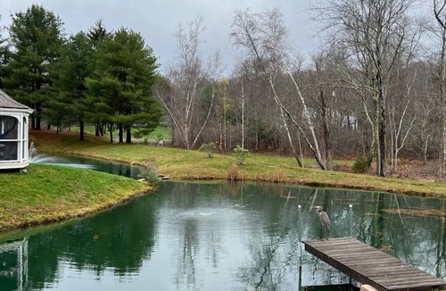 Washington House | Charming 3-bedroom house in delightful Washington w/WiFi, AC, amazing grounds.