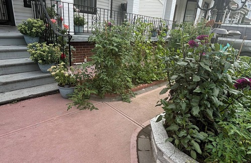 Queens Apartment | Cozy 1 Bedroom in Richmond Hill Queens NY, hosted by owner, Roma