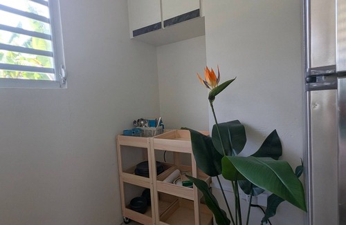 La Pared Apartment | Fortunas Explorer Studio: Steps from Beach & Adventure