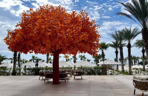 San Jose del Cabo Apartment | Garza Blanca 5 Star Luxury Resort: New Year's Week @ Los Cabos. 2 BR Suite.