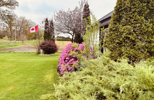Delhi Cottage | NEWLY UPDATED Quiet Cottage Near Turkey Point and Port Dover
