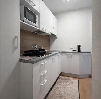 Bad Kleinkirchheim Apartment | NIVO Apartment surrounded by gardens and on the ski slope