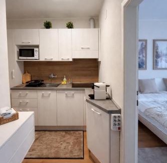 Bad Kleinkirchheim Apartment | NIVO Apartment surrounded by gardens and on the ski slope