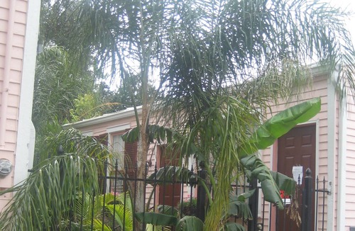 Carrollton Cottage | PEARL ST. GUEST COTTAGE OFF ST. CHARLES,30 NT. MIN.