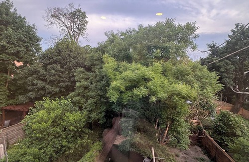 Crown Heights House | Private room in a New Town House, 7m to Subway, 20m to Manhattan