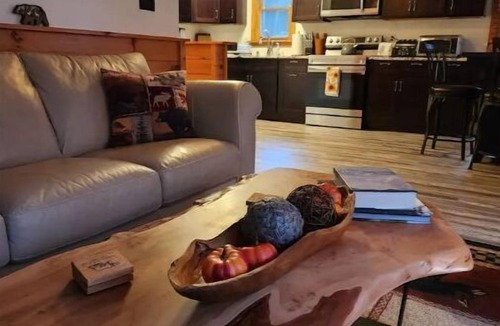 Lake Placid Cabin | Secluded ADK Cabin Mountain Views 1.5 miles to Main St 17 minutes to Whiteface
