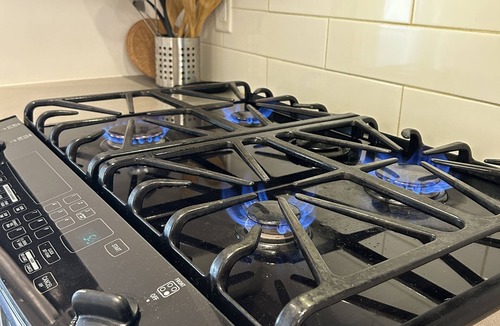 Walnut Grove House | Spacious 1BR+Den | Private | Fireplace | Patio | Pet-Friendly Upon Approval 🐾