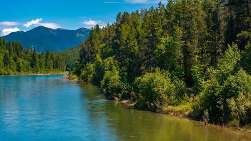West Glacier House | Steps to the River River Edge Cabin