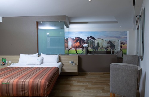 Texcoco Hotel | Xcoco Inn