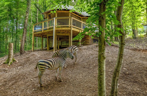 Troutman House | Zootastic Retreat | Private Hot Tub + Zoo Access