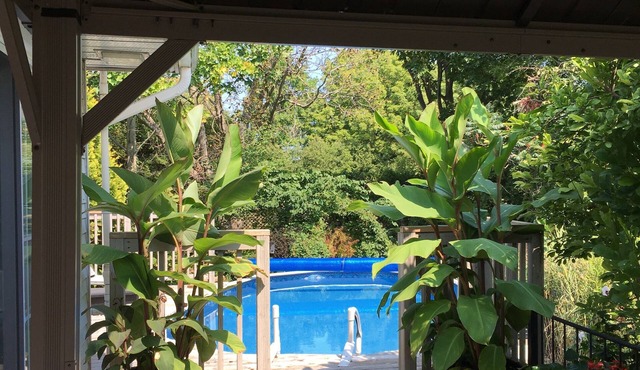 Amazing view, heated pool, gardens, beach, trails, wineries, shops & restaurants