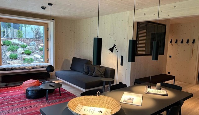 Apartment N1 first floor apartment (Heidschnucke) - The gray sheep