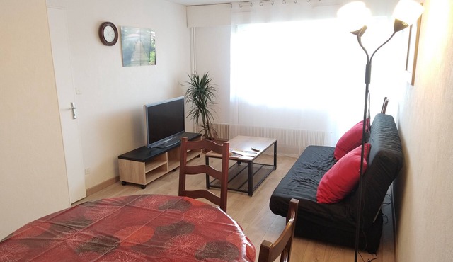 Appartement Rénové en 2024 Dans Immeuble Résidentiel, Dominant, au 11ème Étage