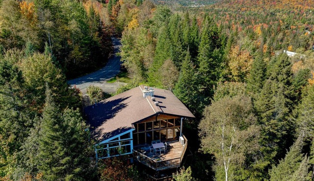 Authentic Swiss Cabin - 4 BR with Hot Tub and pool table