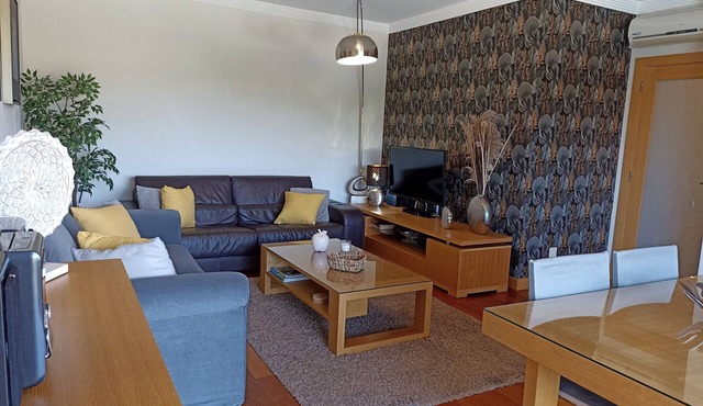 Beautiful, recently renovated apartment with all modern comforts, at Corcovada