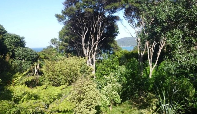 Cabbage Tree Cottage: Cosy home with bush and beach beyond