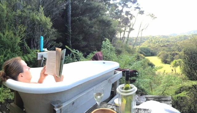 Eco-Bach inside a kiwi sanctuary
