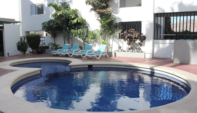 Explore Cabo Easily from Comfy and Superior Room Near Nightlife & Attractions