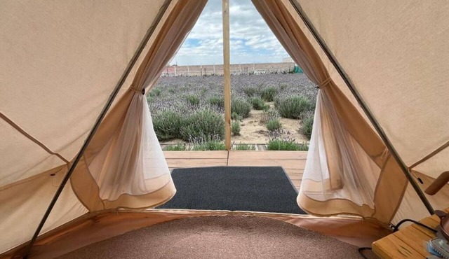 Glamping Rincón de Lavanda
