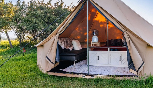 Glamping Tent Tibet #4
