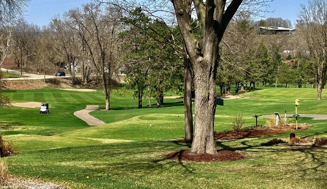 Golf view!