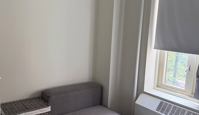 Healthcare workers dream Lower east side Manhattan 1-bd available shared apt