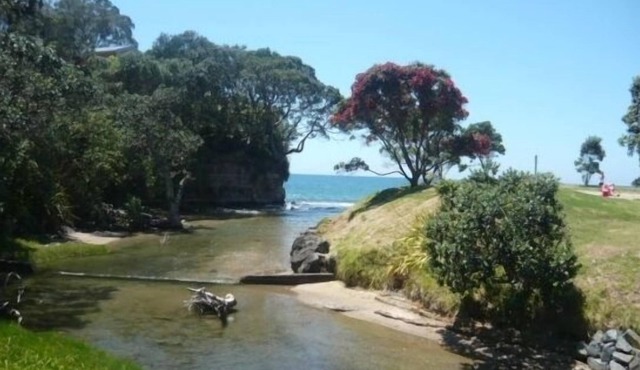 Iconic Kiwi Bach with sea views and a 2 minute walk to the beach.