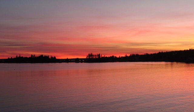Idyllic, sparkling clean ocean/beach cottage for your spontaneous getaway.