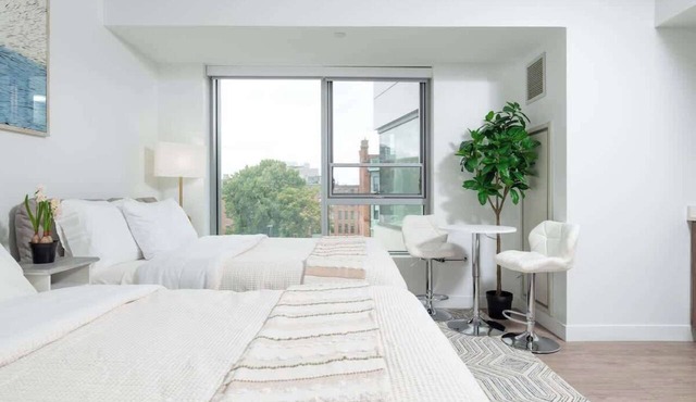 Lux Studio 2x Queen beds Gym near MIT Harvard in Central Square