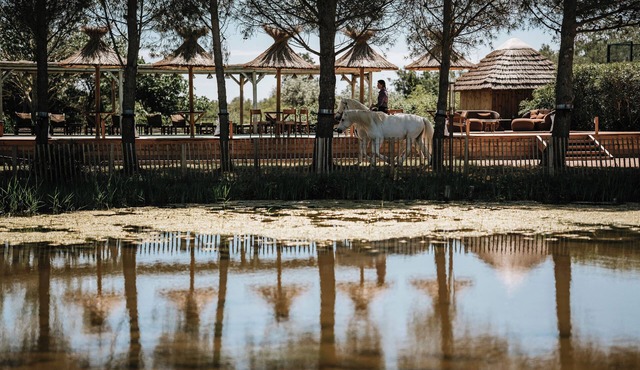 MAS DE DARD, Provence Estate, Heated Pool,Pickleball ans Private Lagoon,12 rooms
