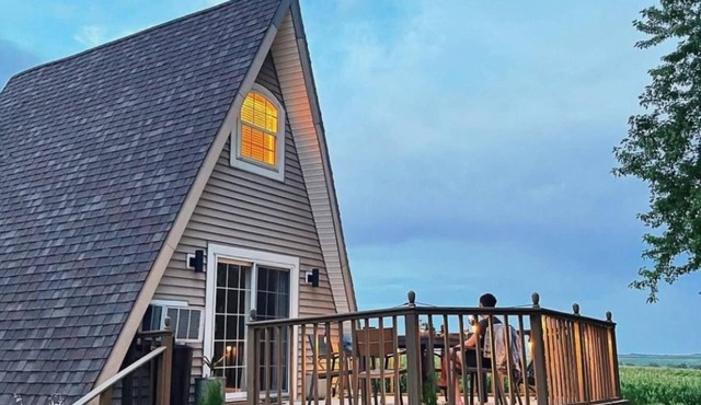 🏠 Mid-Century A-Frame Near Galena | Stargaze | Couples Retreat | 1 Bed/1 Bath
