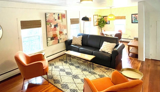 Mod Apartment in Historic Home