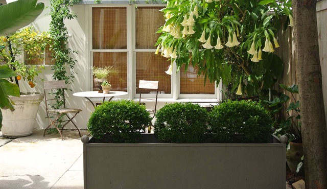 Nola Cottage - Safe, Convenient Area/Sleeps 3/Brand New Bath/Walk To Tulane