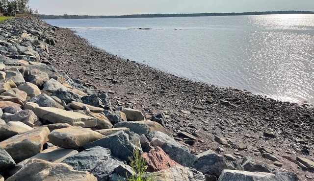 Oceanfront Cozy 2 bed Cottage in Brule Shore, pet friendly, firepit, heat/AC