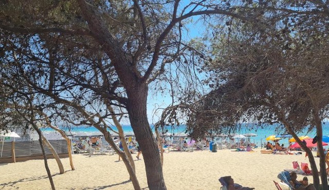 Salento home