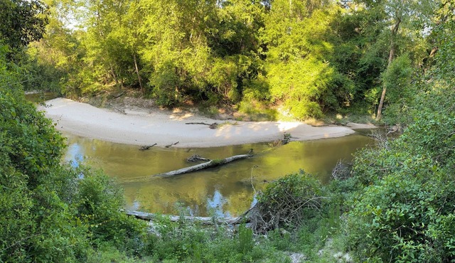 Sleepy Lagoon Cottage - On 30 lush acres & just minutes from Downtown Covington!