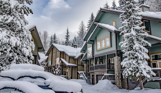 Snowy Creek 15 - Ski in Ski out, Complete Luxury Renovation, Fireplace