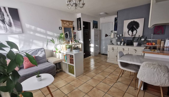 Spacious and cozy apartment with a flower-filled terrace in downtown Annecy