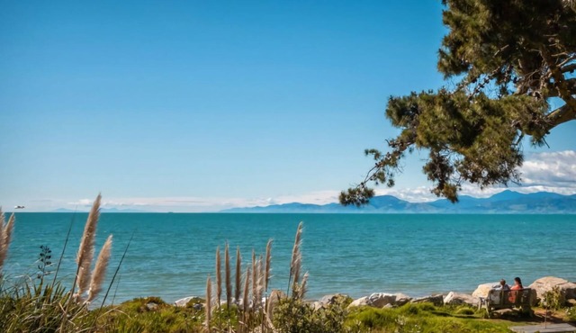Spectacular Ocean View with a Kiwi Vibe