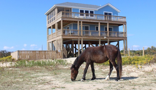Summer Paws | 3BR SemiOceanfront 4x4 OBX | Pool, Hot Tub & Wild Horses | Pets